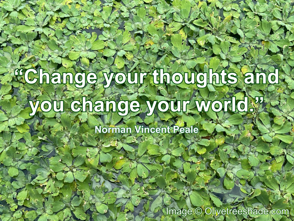 "Change your thoughts and you change your world" quote on green leaves background